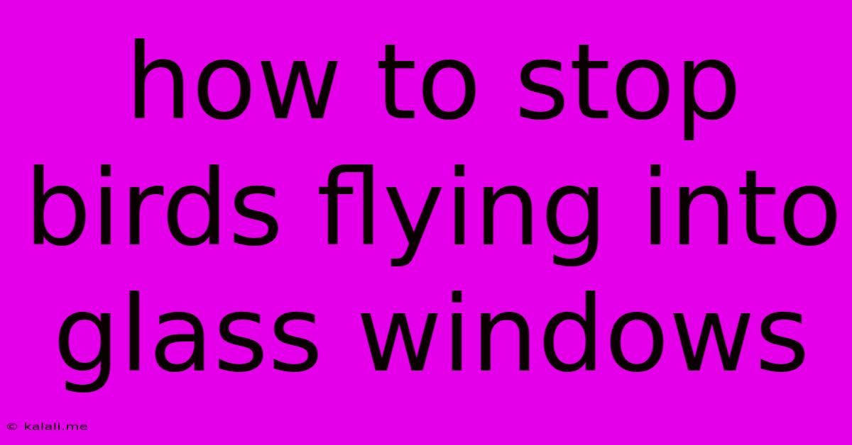 How To Stop Birds Flying Into Glass Windows