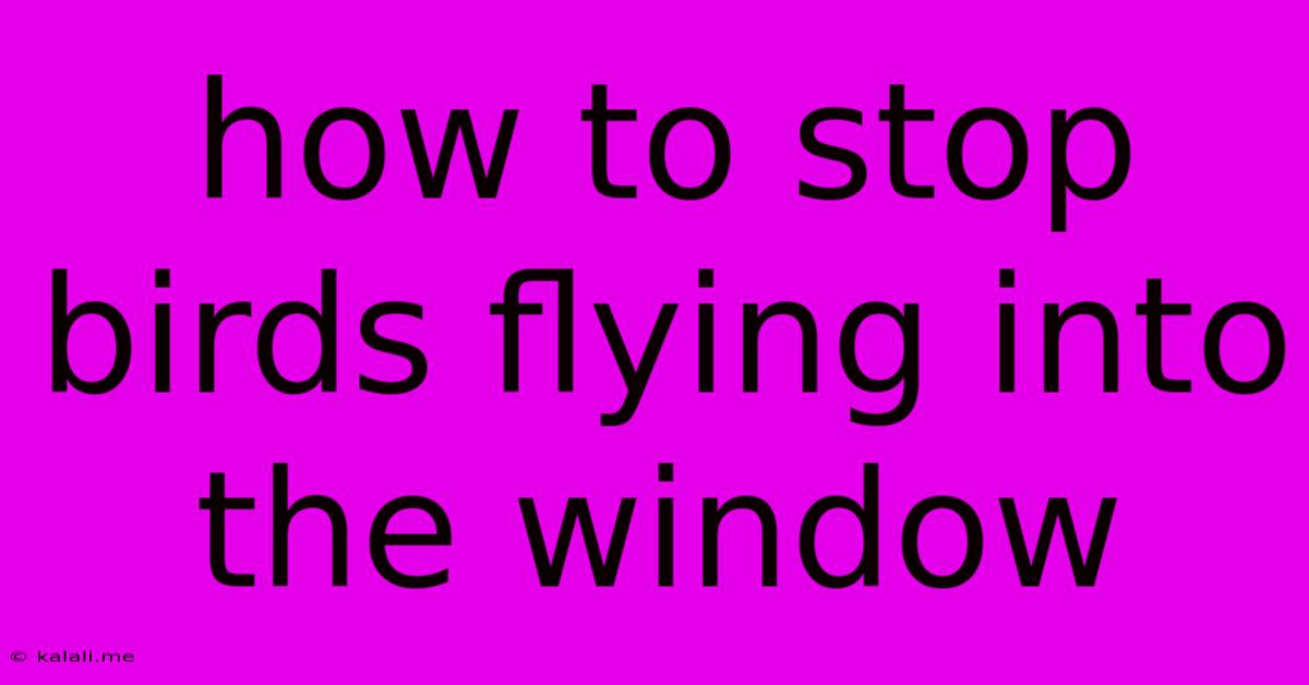 How To Stop Birds Flying Into The Window