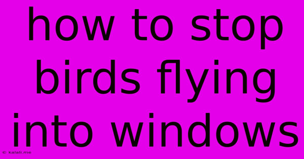 How To Stop Birds Flying Into Windows