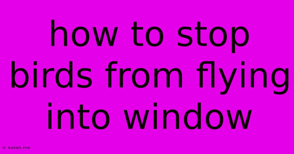 How To Stop Birds From Flying Into Window