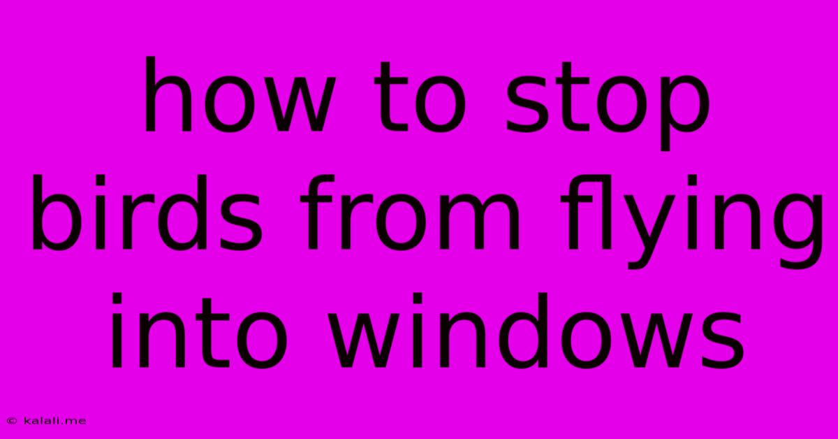 How To Stop Birds From Flying Into Windows