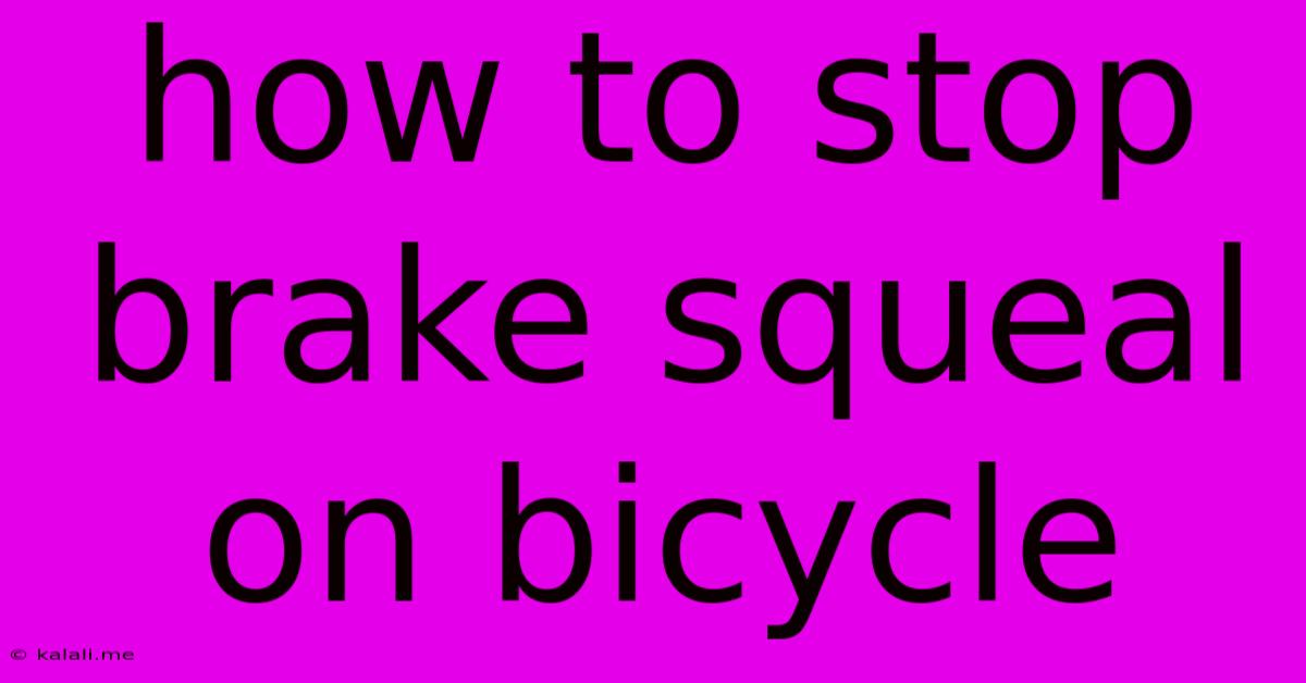 How To Stop Brake Squeal On Bicycle