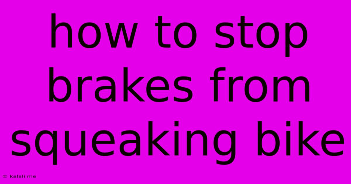 How To Stop Brakes From Squeaking Bike