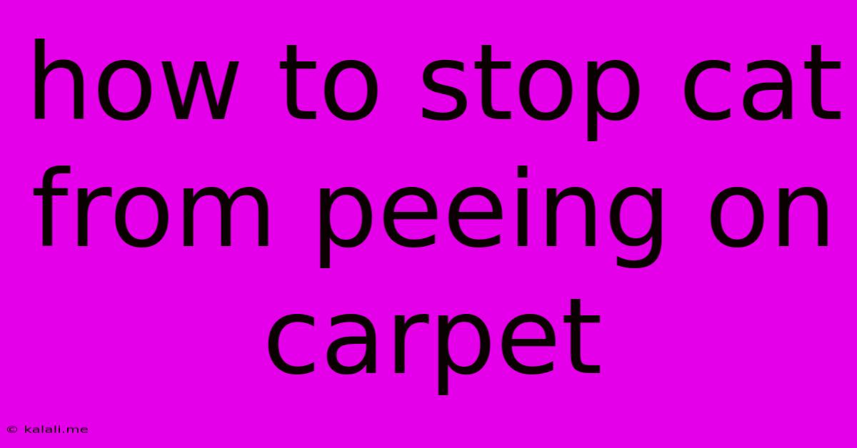 How To Stop Cat From Peeing On Carpet