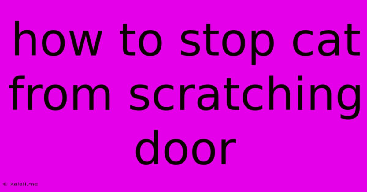 How To Stop Cat From Scratching Door