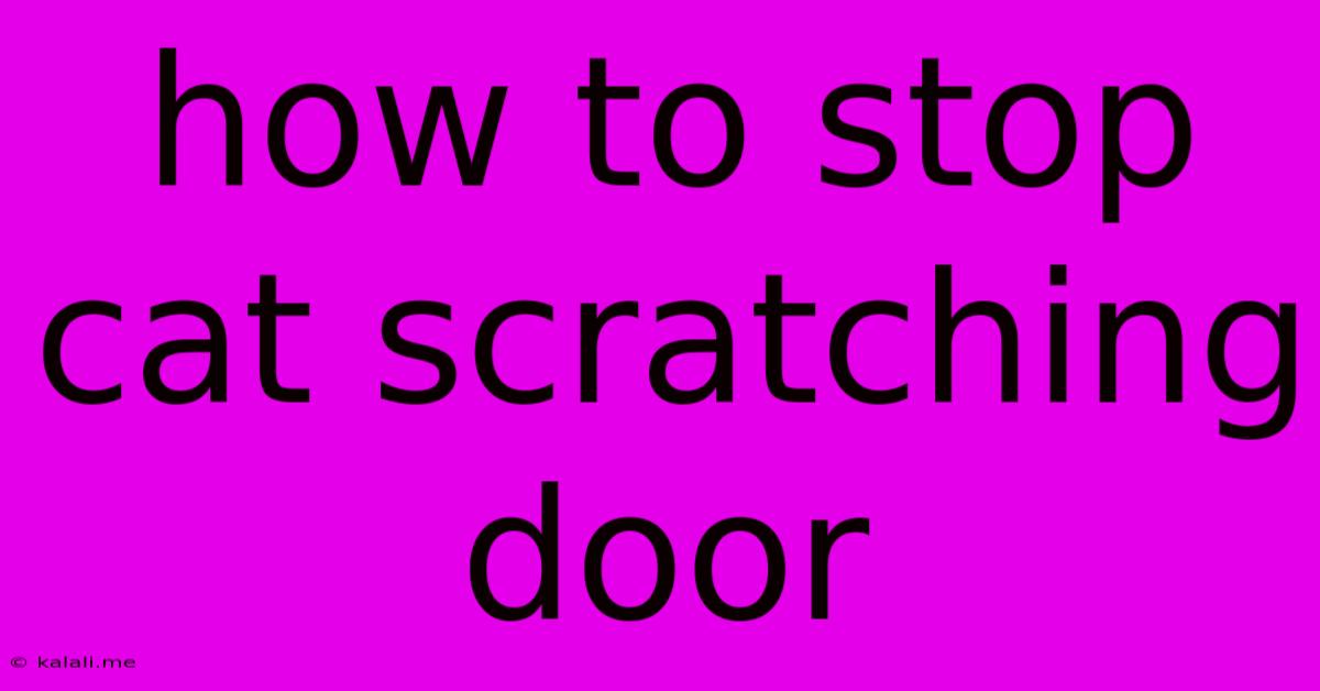 How To Stop Cat Scratching Door