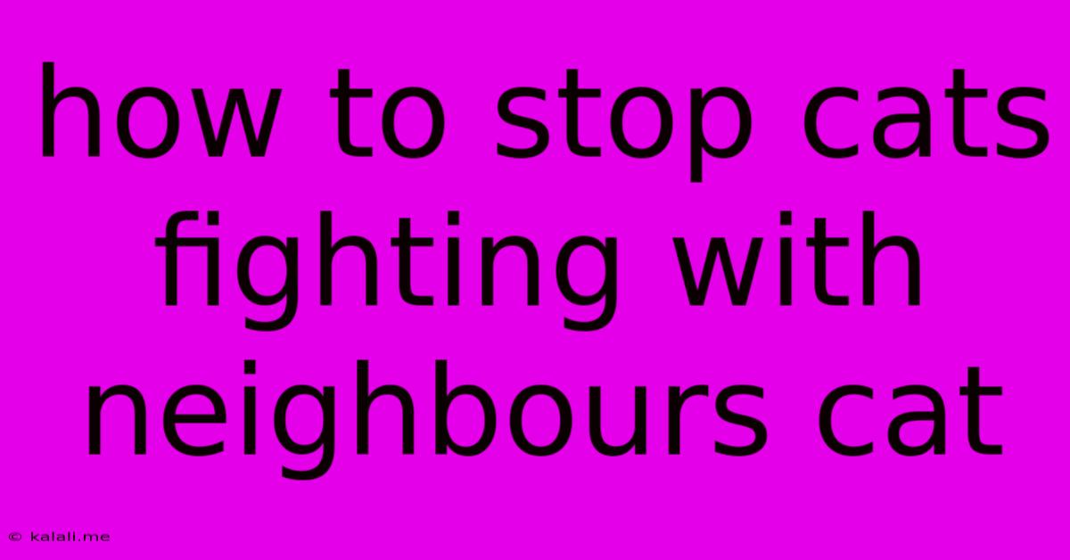 How To Stop Cats Fighting With Neighbours Cat
