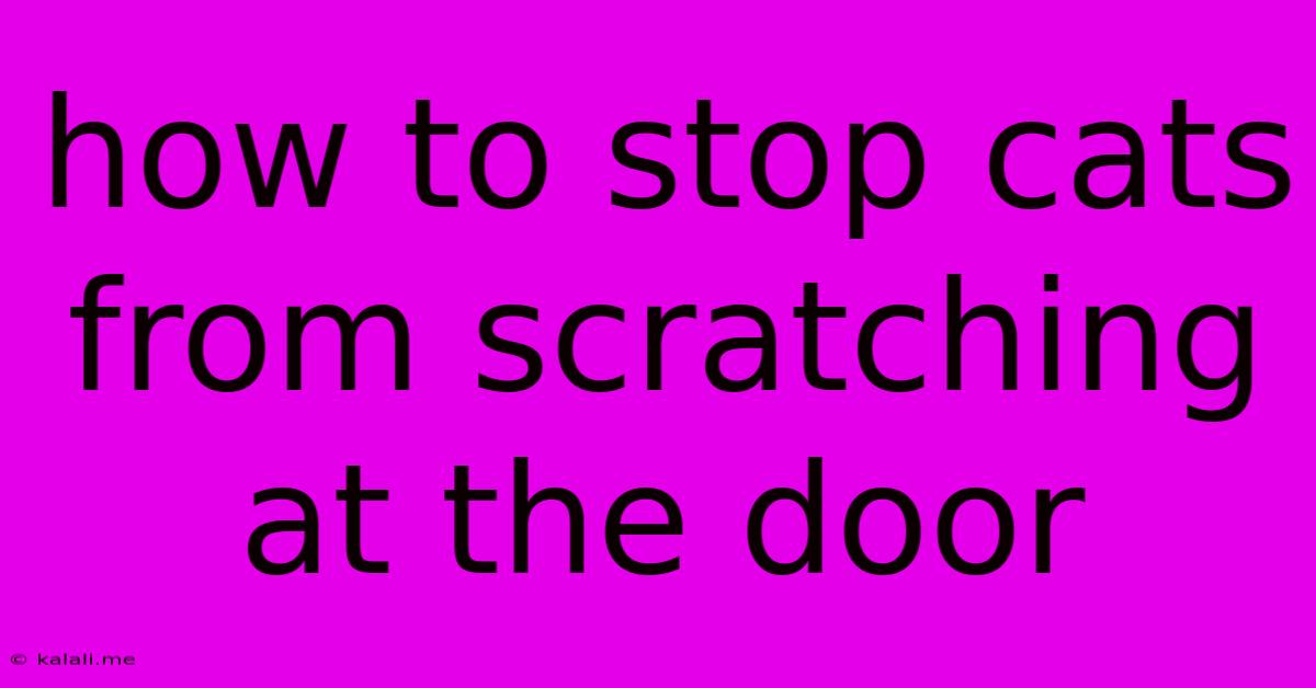 How To Stop Cats From Scratching At The Door