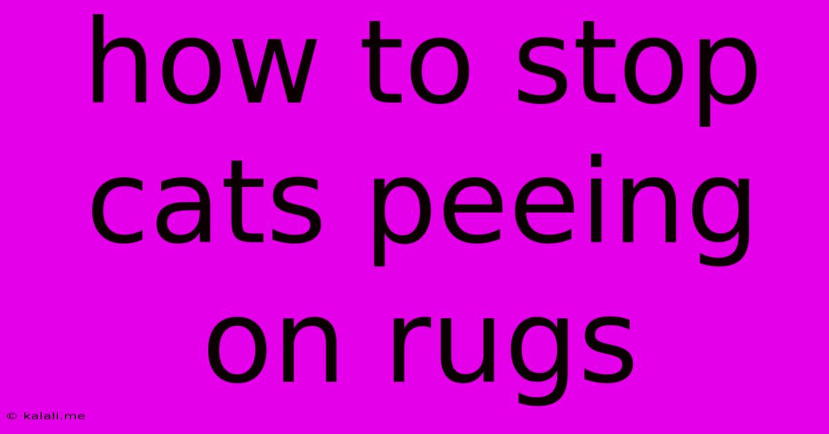 How To Stop Cats Peeing On Rugs
