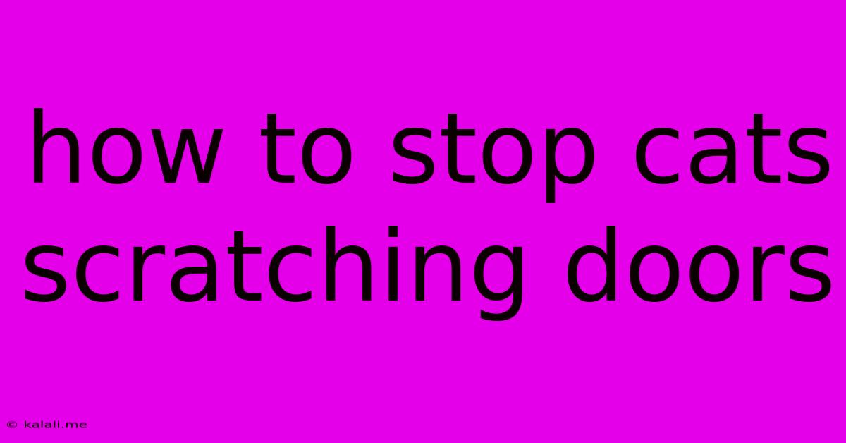 How To Stop Cats Scratching Doors