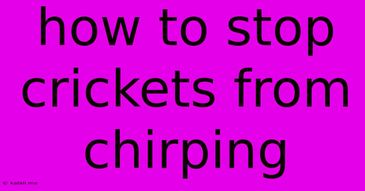 How To Stop Crickets From Chirping