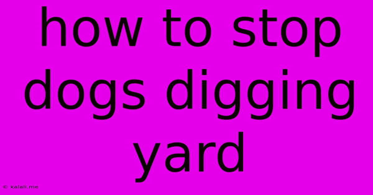 How To Stop Dogs Digging Yard