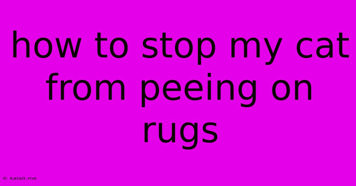 How To Stop My Cat From Peeing On Rugs