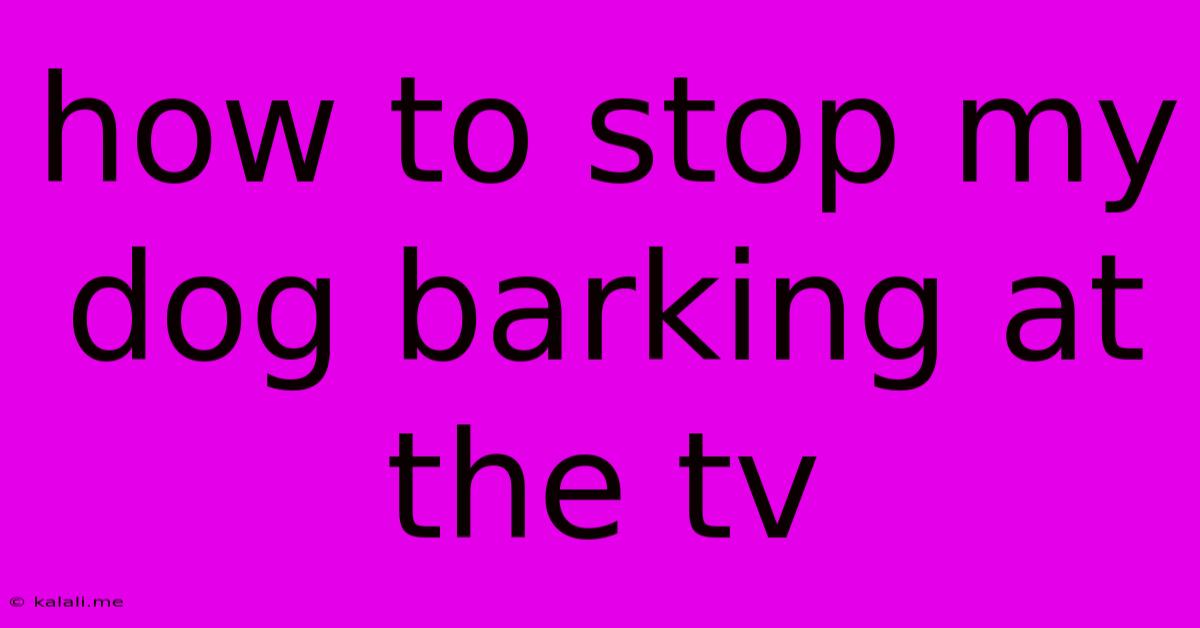 How To Stop My Dog Barking At The Tv