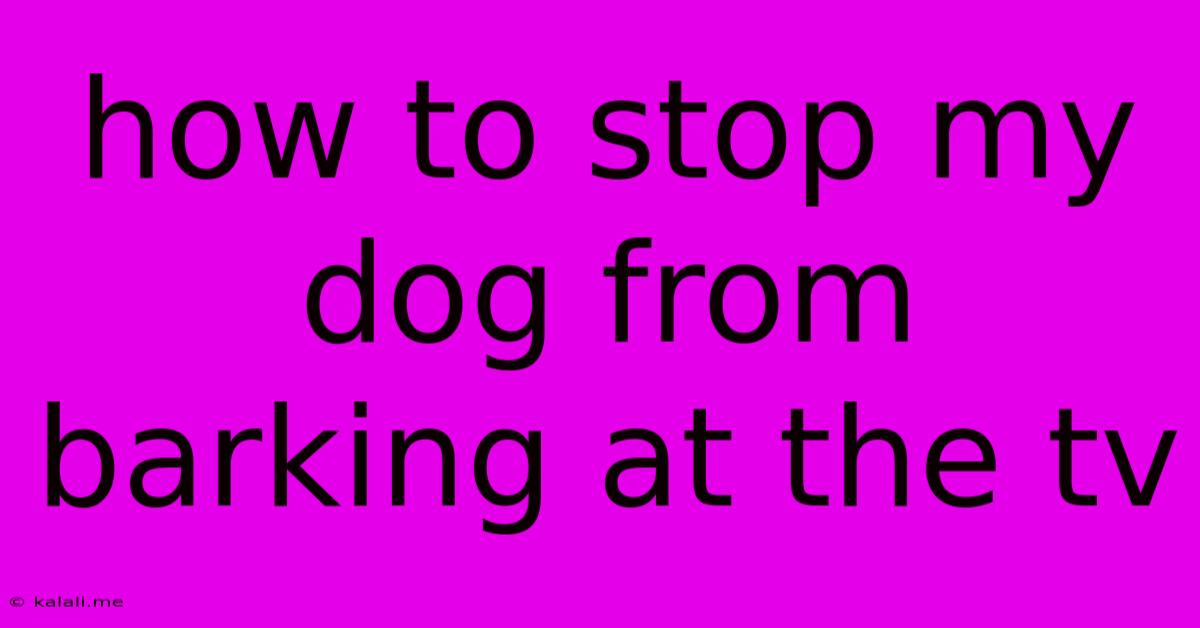 How To Stop My Dog From Barking At The Tv