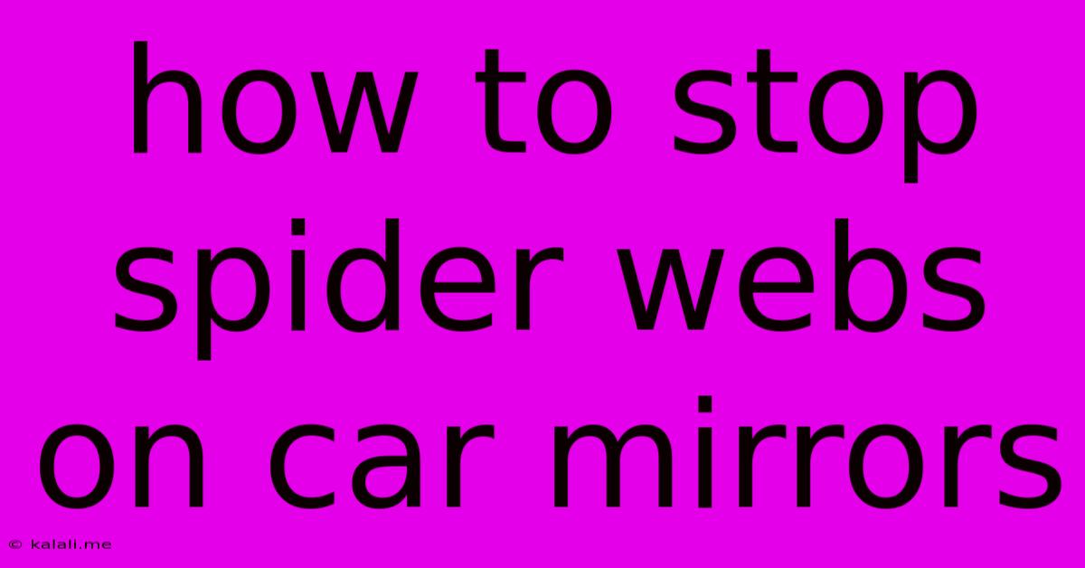 How To Stop Spider Webs On Car Mirrors