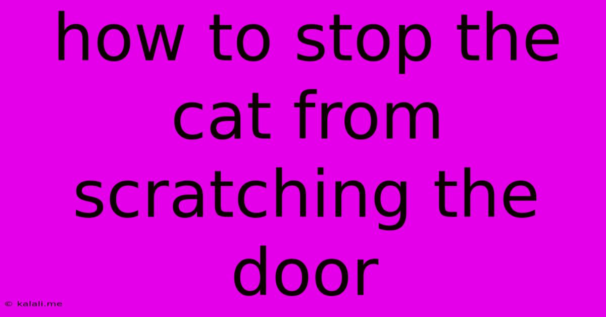 How To Stop The Cat From Scratching The Door