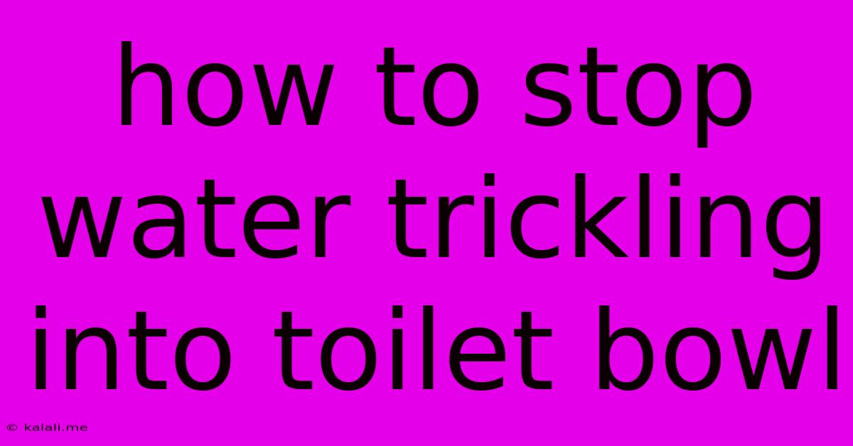 How To Stop Water Trickling Into Toilet Bowl