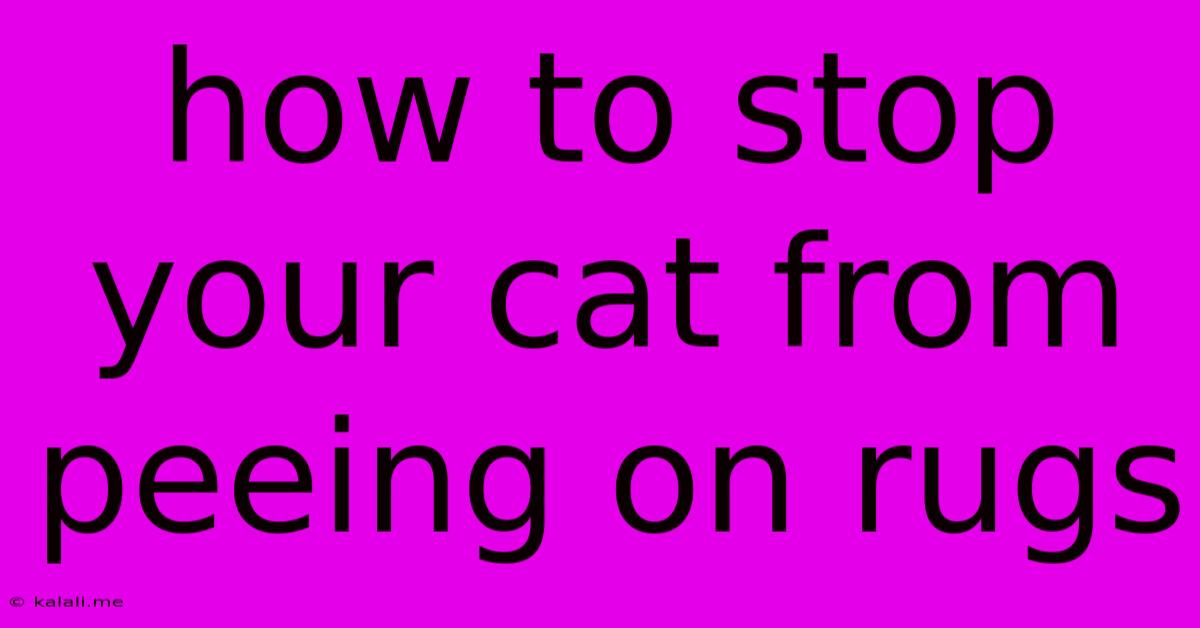 How To Stop Your Cat From Peeing On Rugs