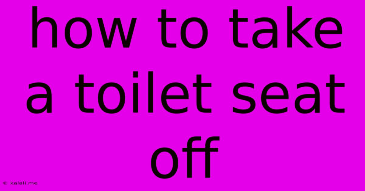 How To Take A Toilet Seat Off