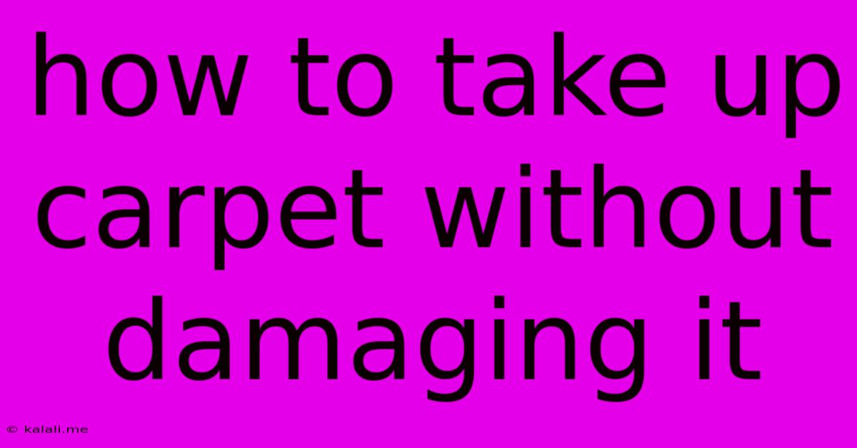 How To Take Up Carpet Without Damaging It