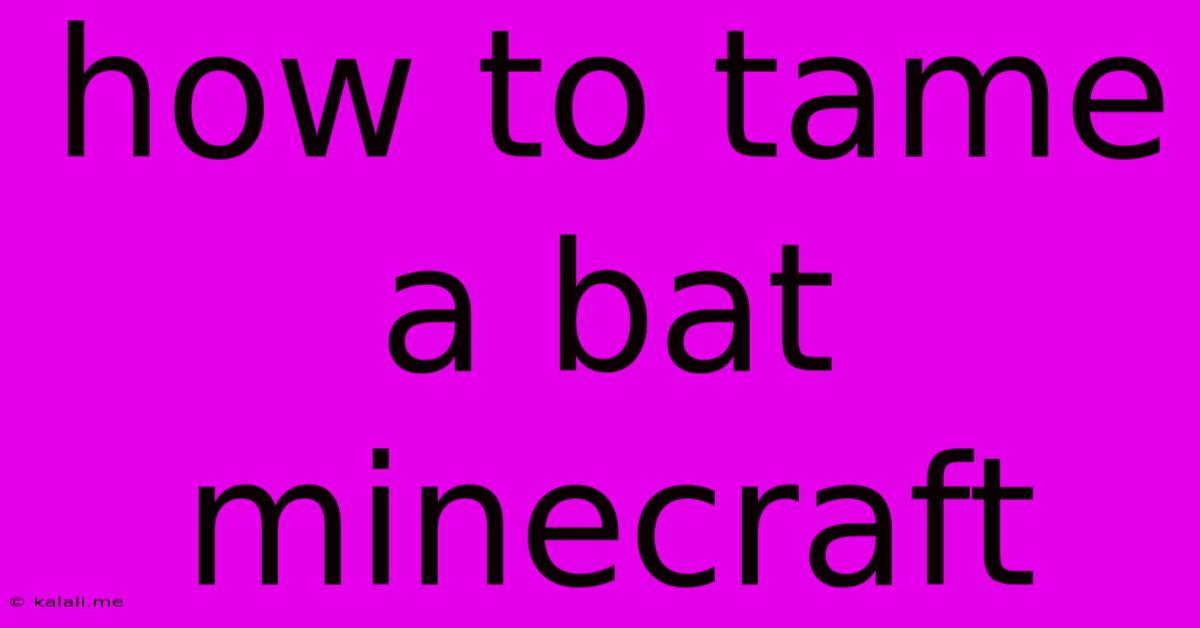 How To Tame A Bat Minecraft