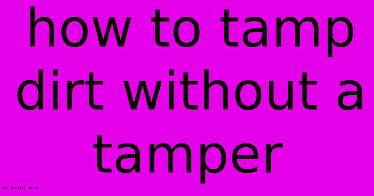 How To Tamp Dirt Without A Tamper