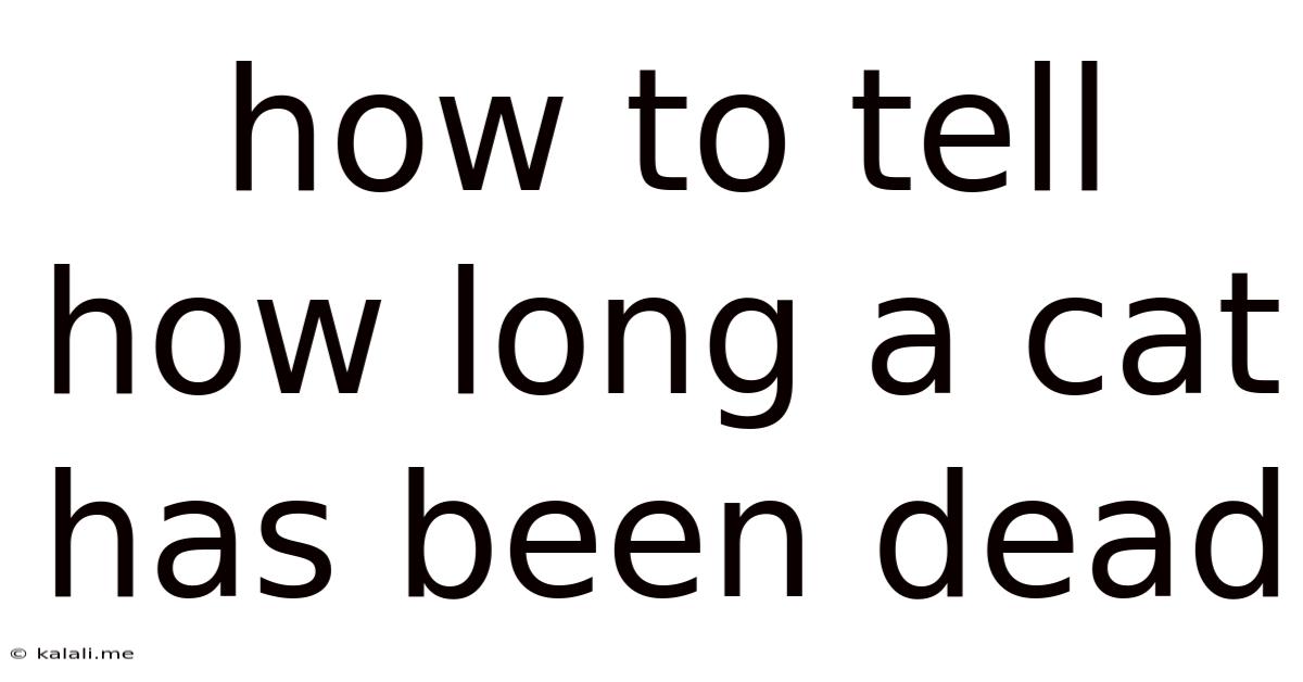 How To Tell How Long A Cat Has Been Dead
