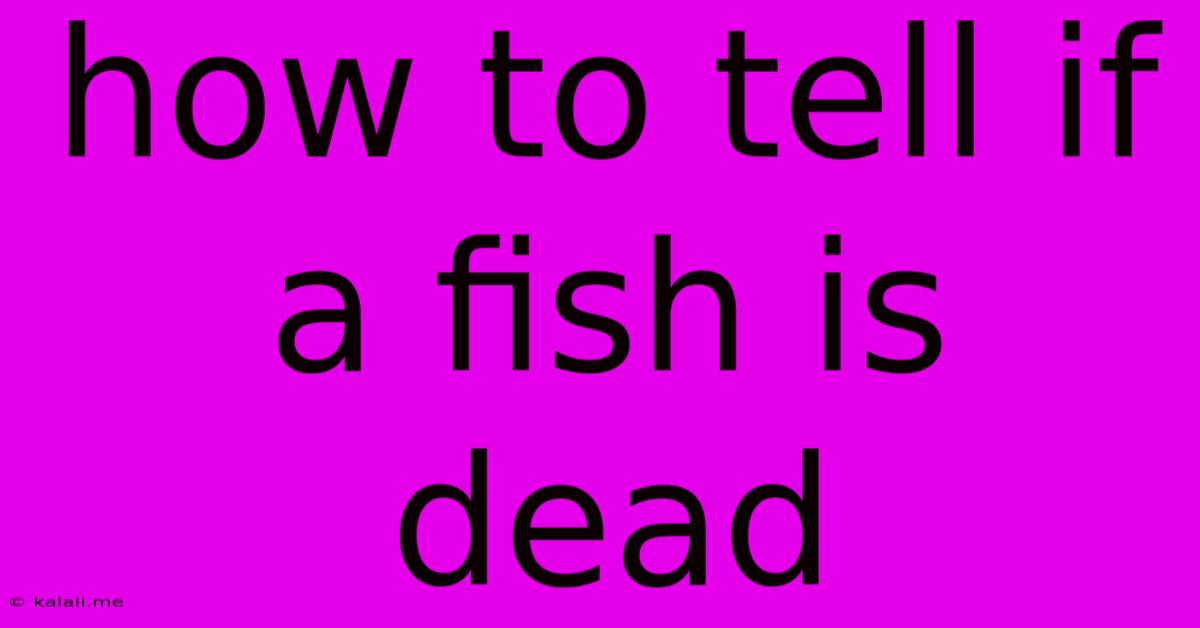 How To Tell If A Fish Is Dead
