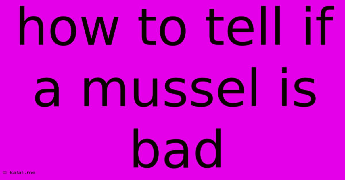 How To Tell If A Mussel Is Bad