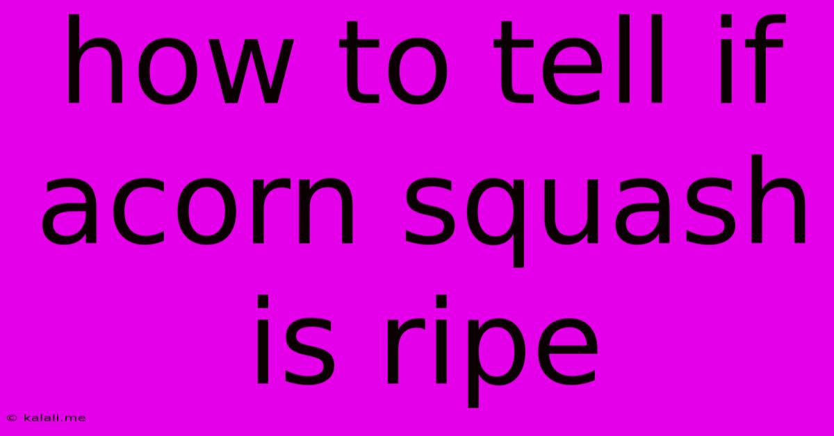 How To Tell If Acorn Squash Is Ripe