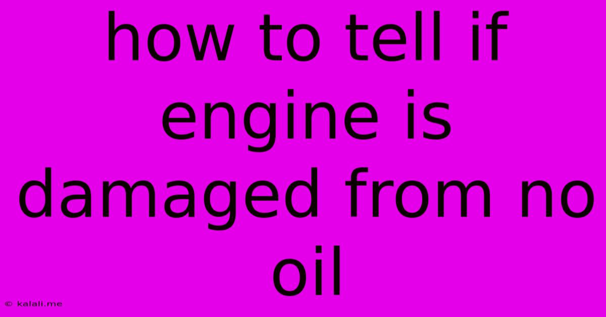 How To Tell If Engine Is Damaged From No Oil