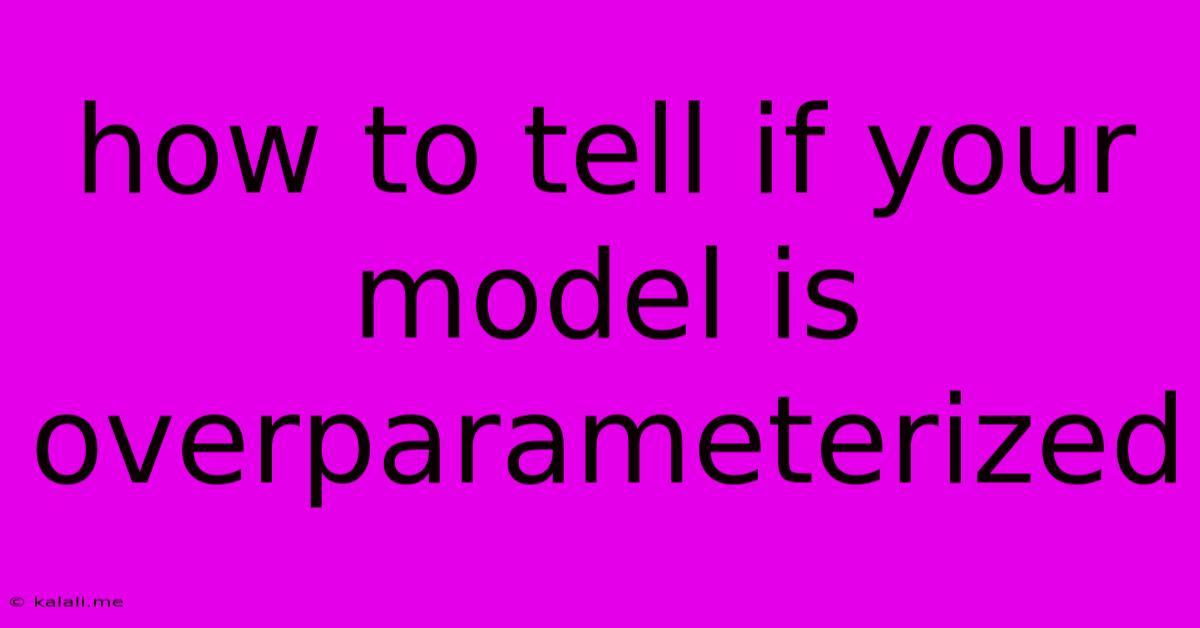 How To Tell If Your Model Is Overparameterized