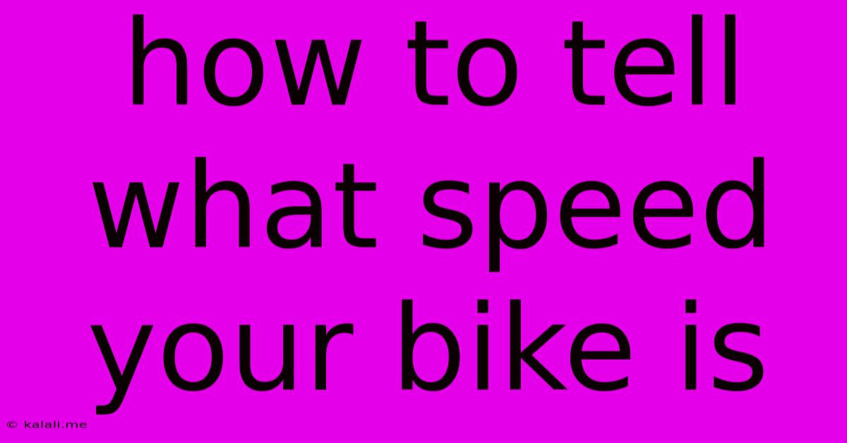 How To Tell What Speed Your Bike Is
