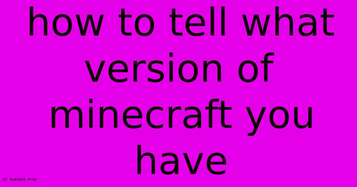 How To Tell What Version Of Minecraft You Have