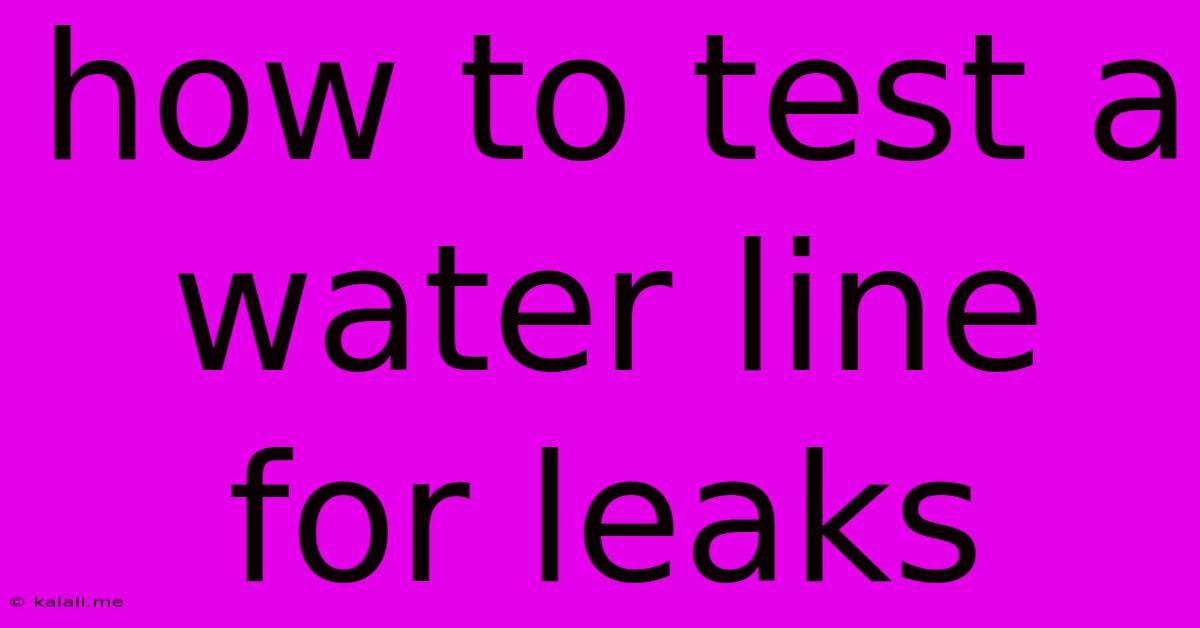 How To Test A Water Line For Leaks