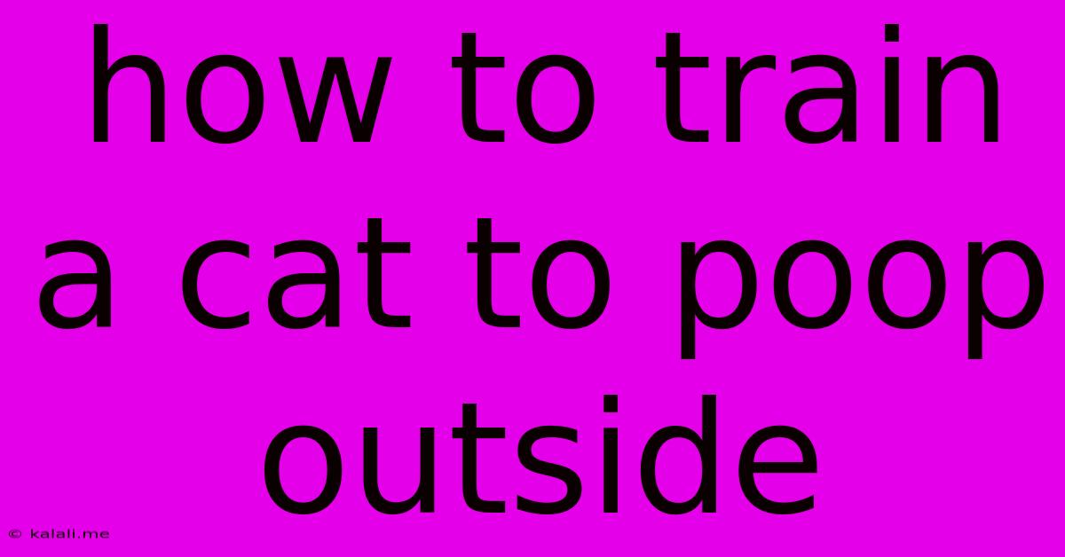 How To Train A Cat To Poop Outside