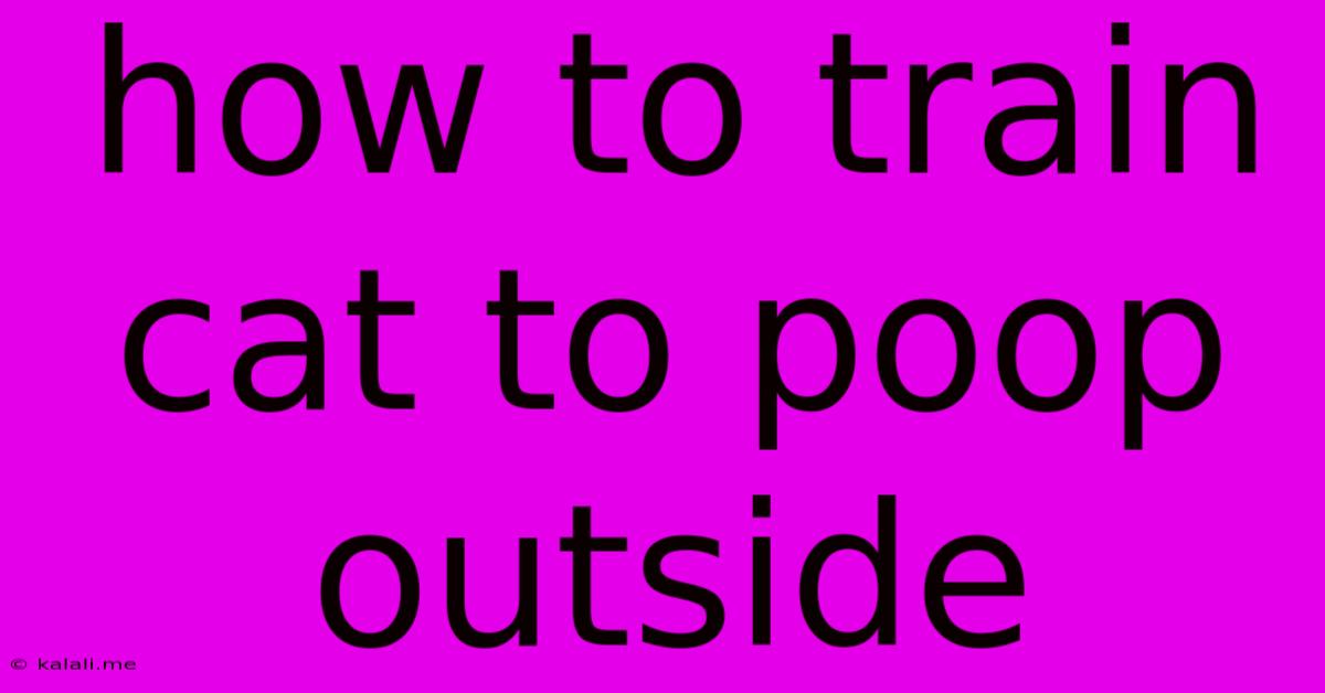 How To Train Cat To Poop Outside