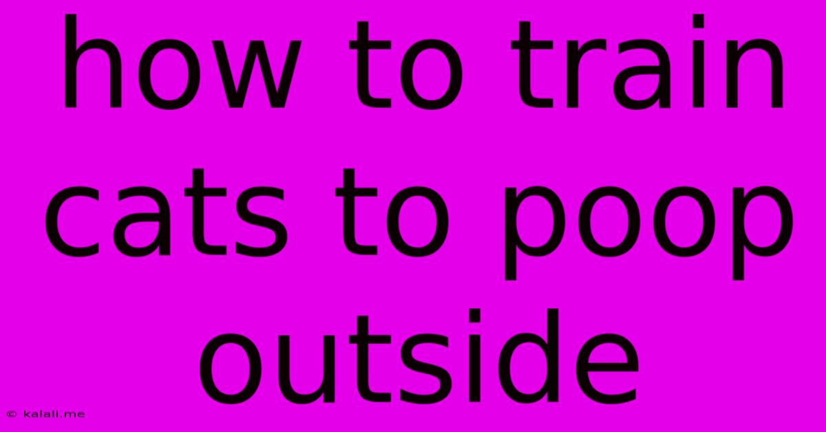 How To Train Cats To Poop Outside