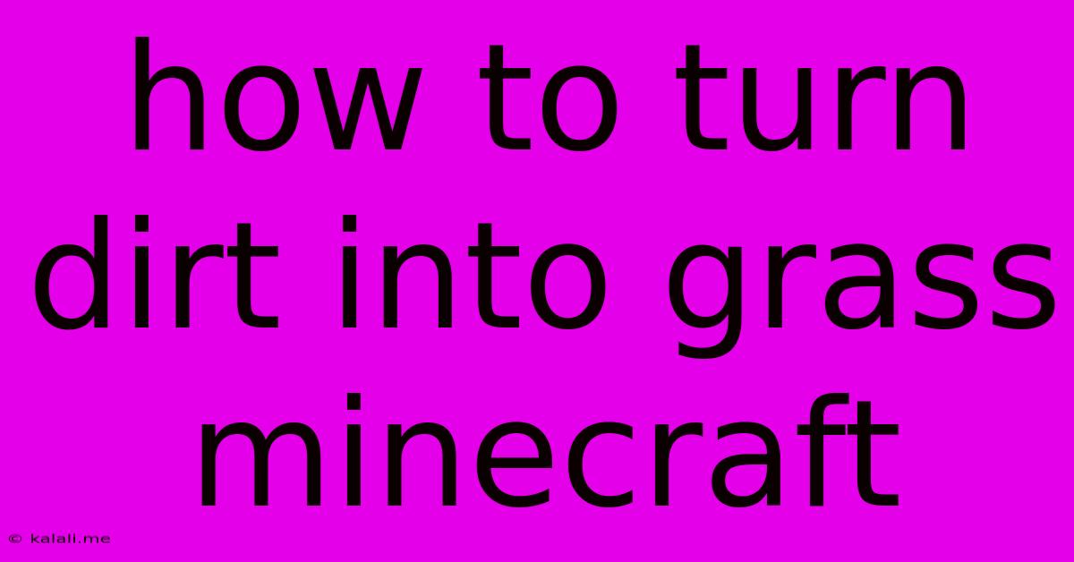 How To Turn Dirt Into Grass Minecraft