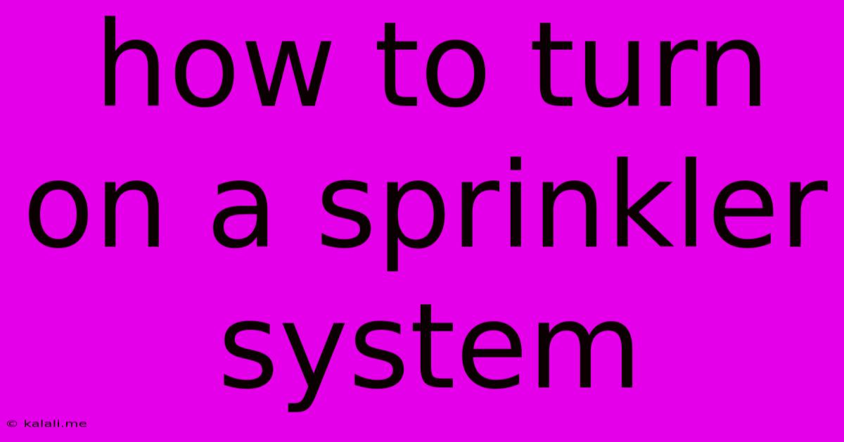 How To Turn On A Sprinkler System
