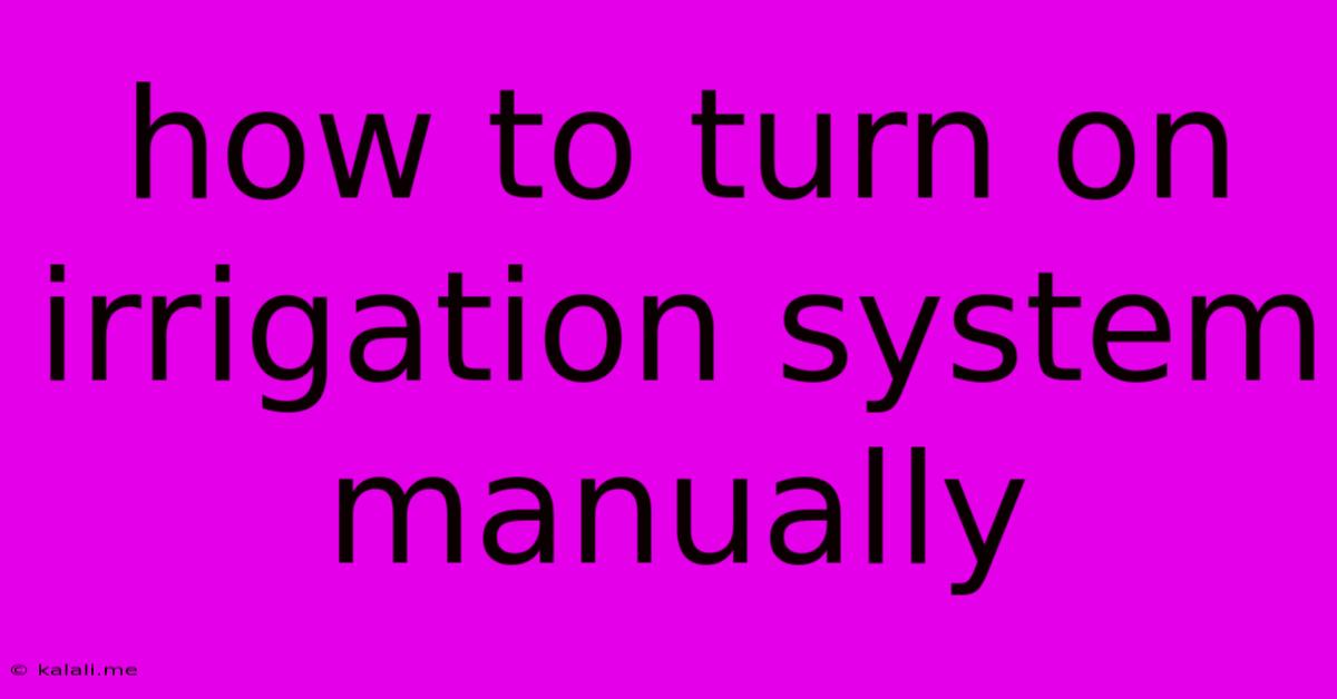 How To Turn On Irrigation System Manually