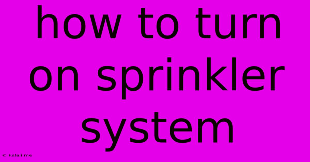 How To Turn On Sprinkler System