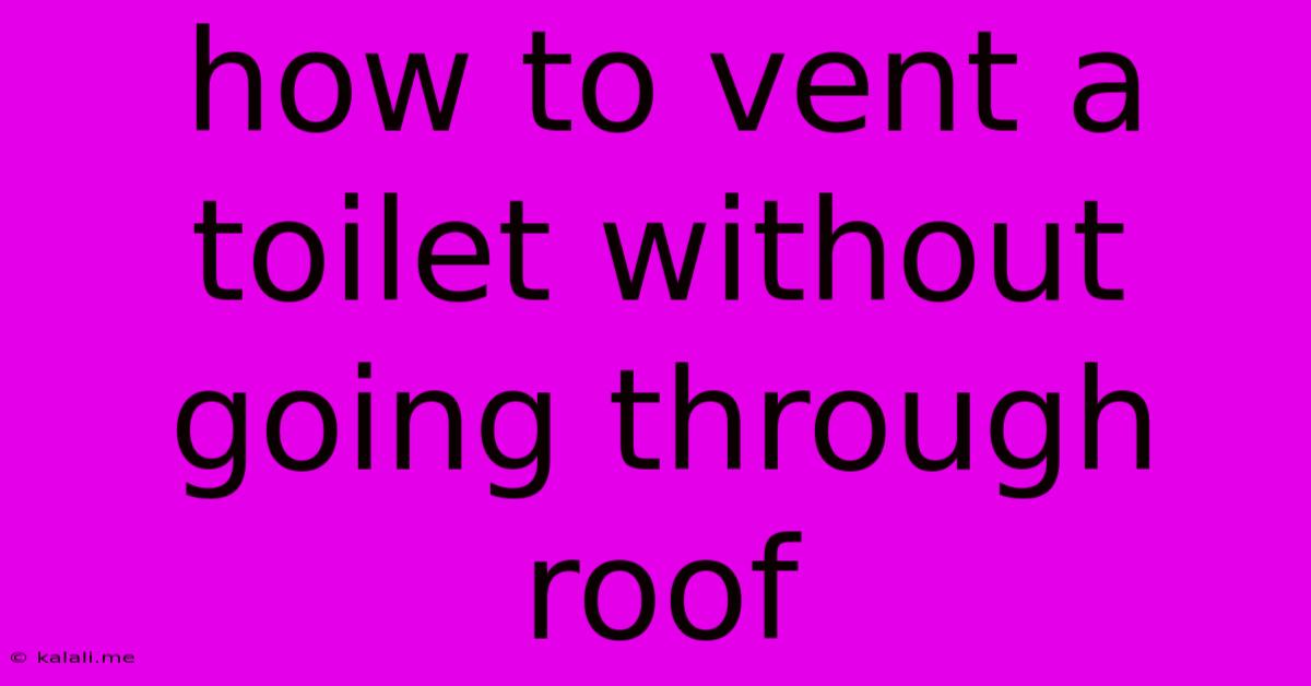 How To Vent A Toilet Without Going Through Roof