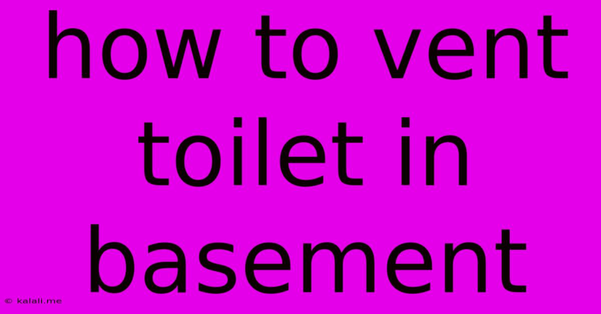 How To Vent Toilet In Basement