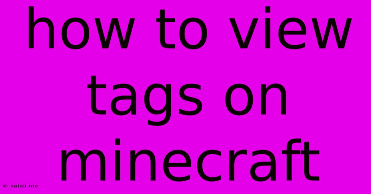 How To View Tags On Minecraft