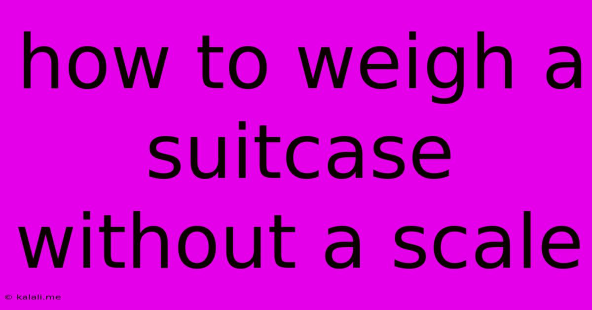 How To Weigh A Suitcase Without A Scale