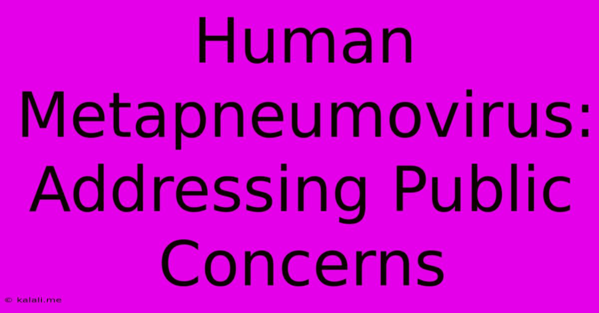 Human Metapneumovirus:  Addressing Public Concerns