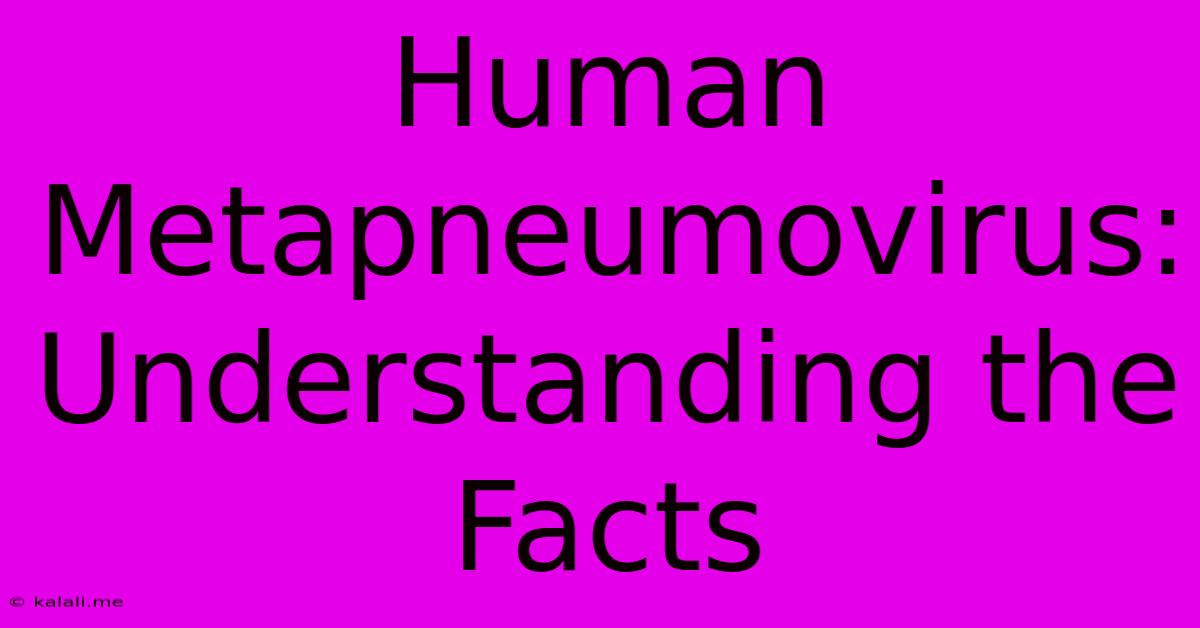 Human Metapneumovirus: Understanding The Facts