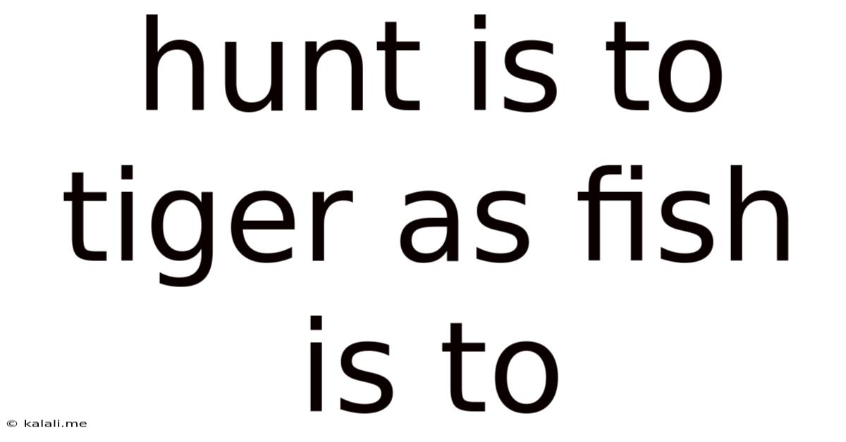 Hunt Is To Tiger As Fish Is To